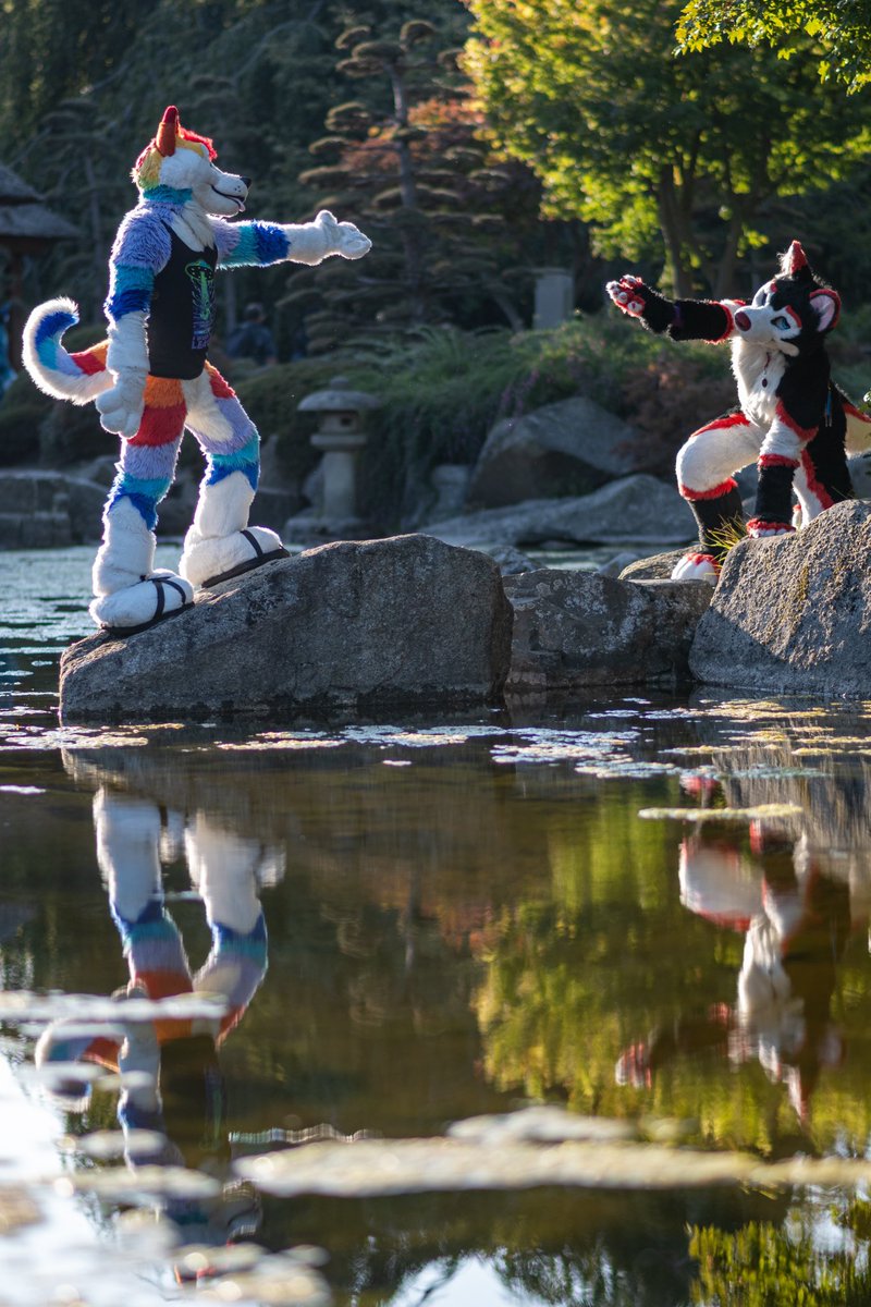 Ryuxwolf (@ryuxwolf) on Twitter photo Today i had the honor of photoshooting <a href="/skittleshusk/">Swizz / Skittles ๐ฎ๐ช ๐ CฤsFur, DBC, EF</a> and <a href="/Gwyndolium/">๐ Strawberry (๋ธ๊ธฐ / ใคใใด) ๐ FWA, Cesfur, EF</a> the last time before retiring their suits!
Thank you two for all the memories you created for us!
#Eurofurence #EF28 Today i had the honor of photoshooting <a href="/skittleshusk/">Swizz / Skittles ๐ฎ๐ช ๐ CฤsFur, DBC, EF</a> and <a href="/Gwyndolium/">๐ Strawberry (๋ธ๊ธฐ / ใคใใด) ๐ FWA, Cesfur, EF</a> the last time before retiring their suits!
Thank you two for all the memories you created for us!
#Eurofurence #EF28