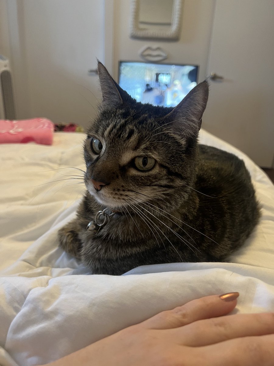 Hey. It’s mee. I’m having fun 🥳