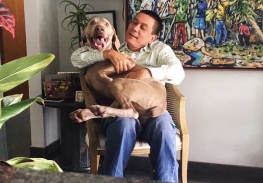 JohanLozada26's tweet photo. Acribillaron a 7 personas en una casa con bazucas.

Al concejal Albán lo mataron a coñazos y lo zumbaron de un piso 10 para simular suicidio.

Al Capitán Acosta Arévalo también lo mataron a coñazos y hasta lo exhibieron pidiendo auxilio en silla de ruedas.

Déjate de maricuras. https://t.co/iz302gcGep