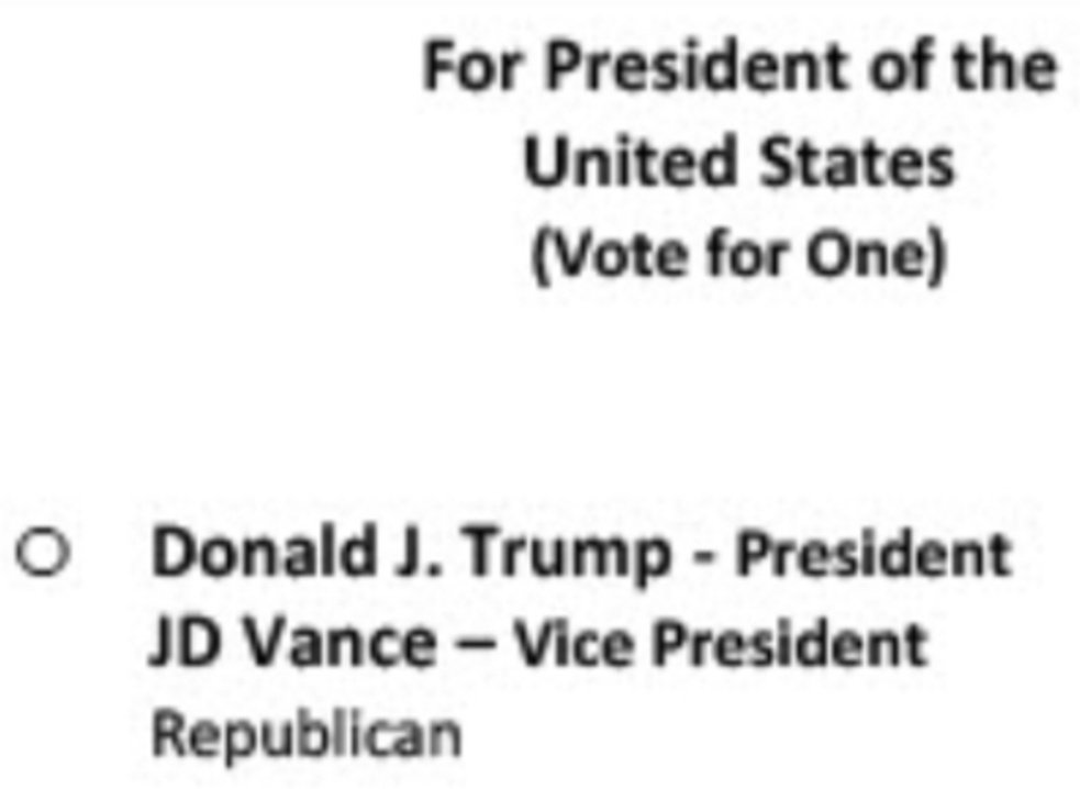 SomeGuyoffTheSt's tweet photo. How many people who consider themselves to be a Good person are going to do the Good thing and NOT check this box? Voting for someone who you think is the lesser of two Evils is still voting for Evil. Write-in is an alternative option. #DontDoIt https://t.co/MEvyu5GpWE