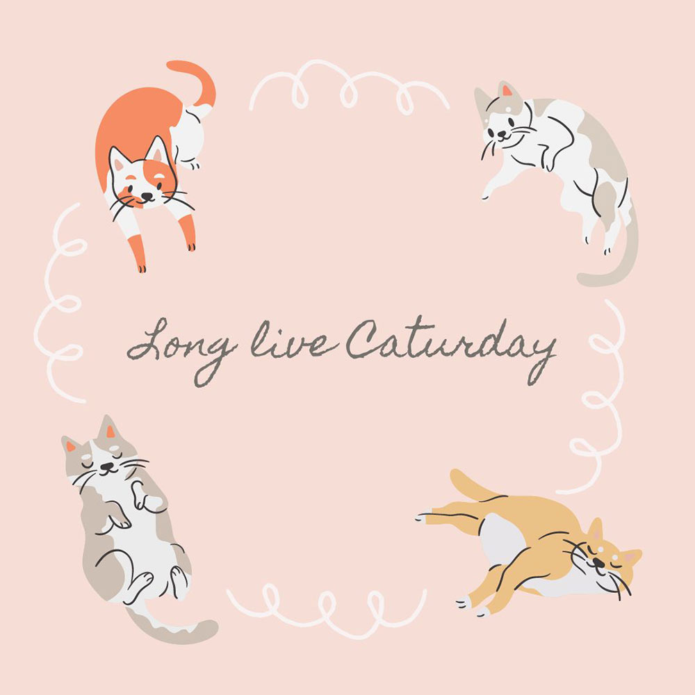 Saturday Surfing, September 21, 2024! dlvr.it/TDWkw0