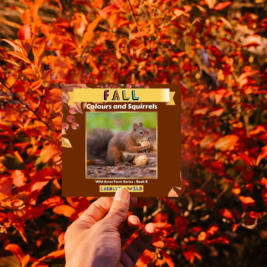 allauthor's tweet photo. With apples, pears, pumpkins, and curious squirrels, this book is a delightful journey into the wonders of the season. Read "Fall: Colours and Squirrels" now. #Squirrels #FarmSeries #Illustrations  @WildAcresBooks Buy Now --> https://t.co/hZ7IPVXSGn https://t.co/akTVR7cGdq