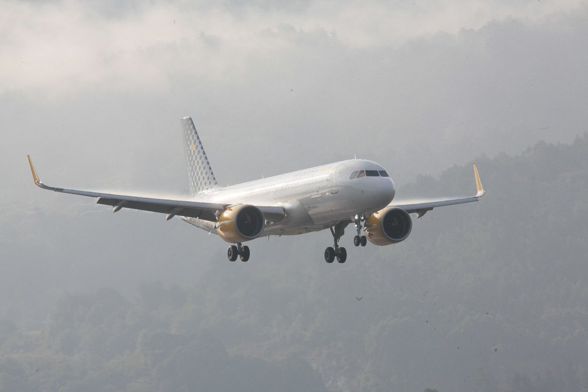 @ipedruzo tweet media