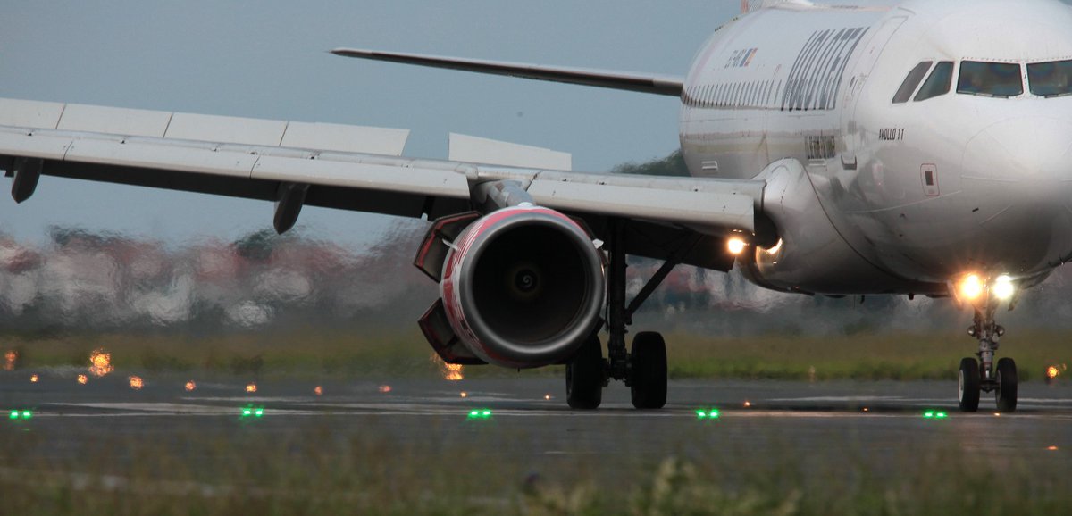 @ipedruzo tweet media