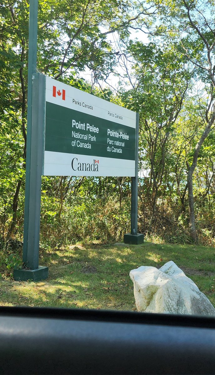 Jessica 🏳️‍⚧️🏳️‍🌈🇨🇦 (she/her) tweet media