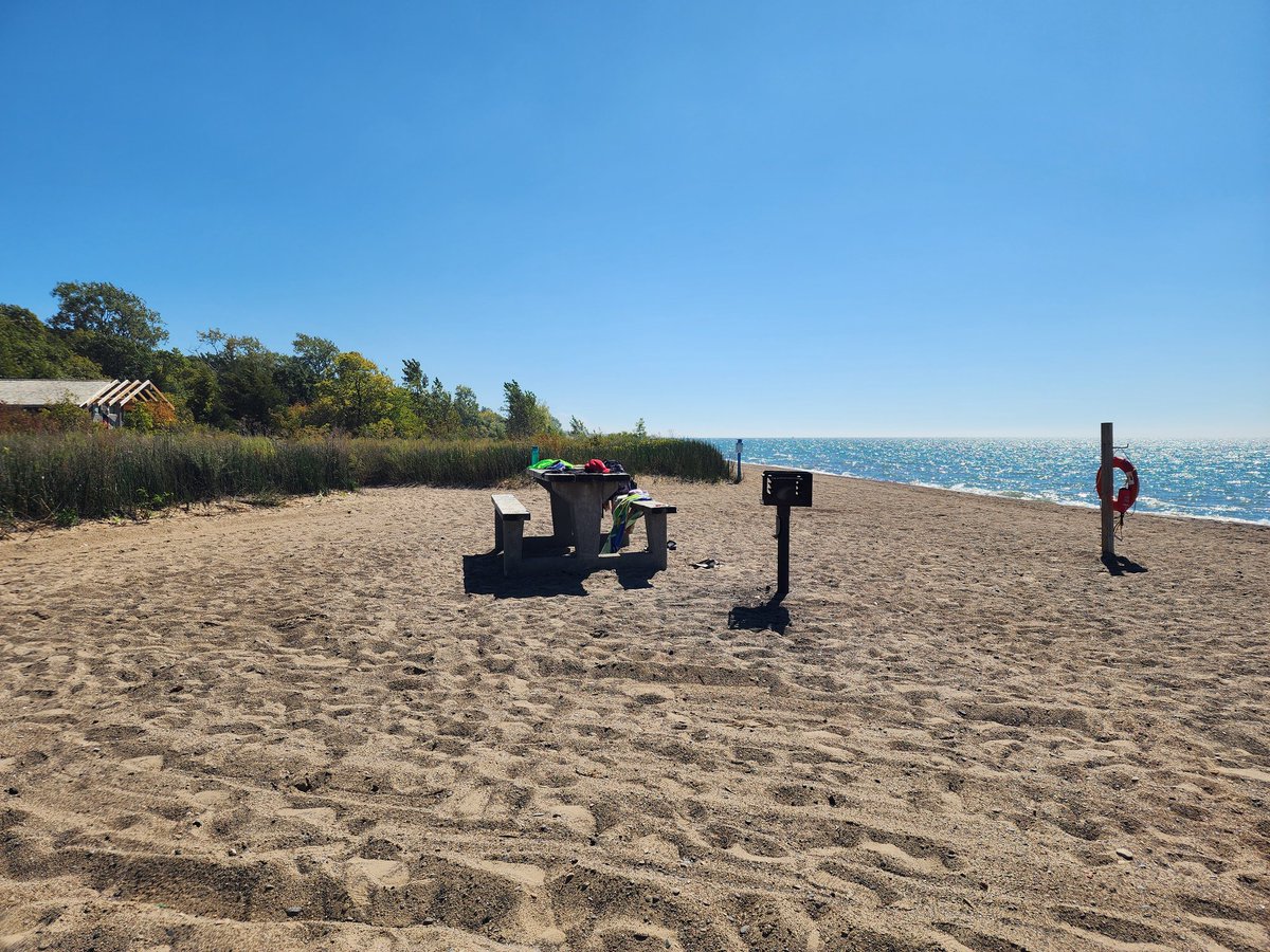 Jessica 🏳️‍⚧️🏳️‍🌈🇨🇦 (she/her) tweet media