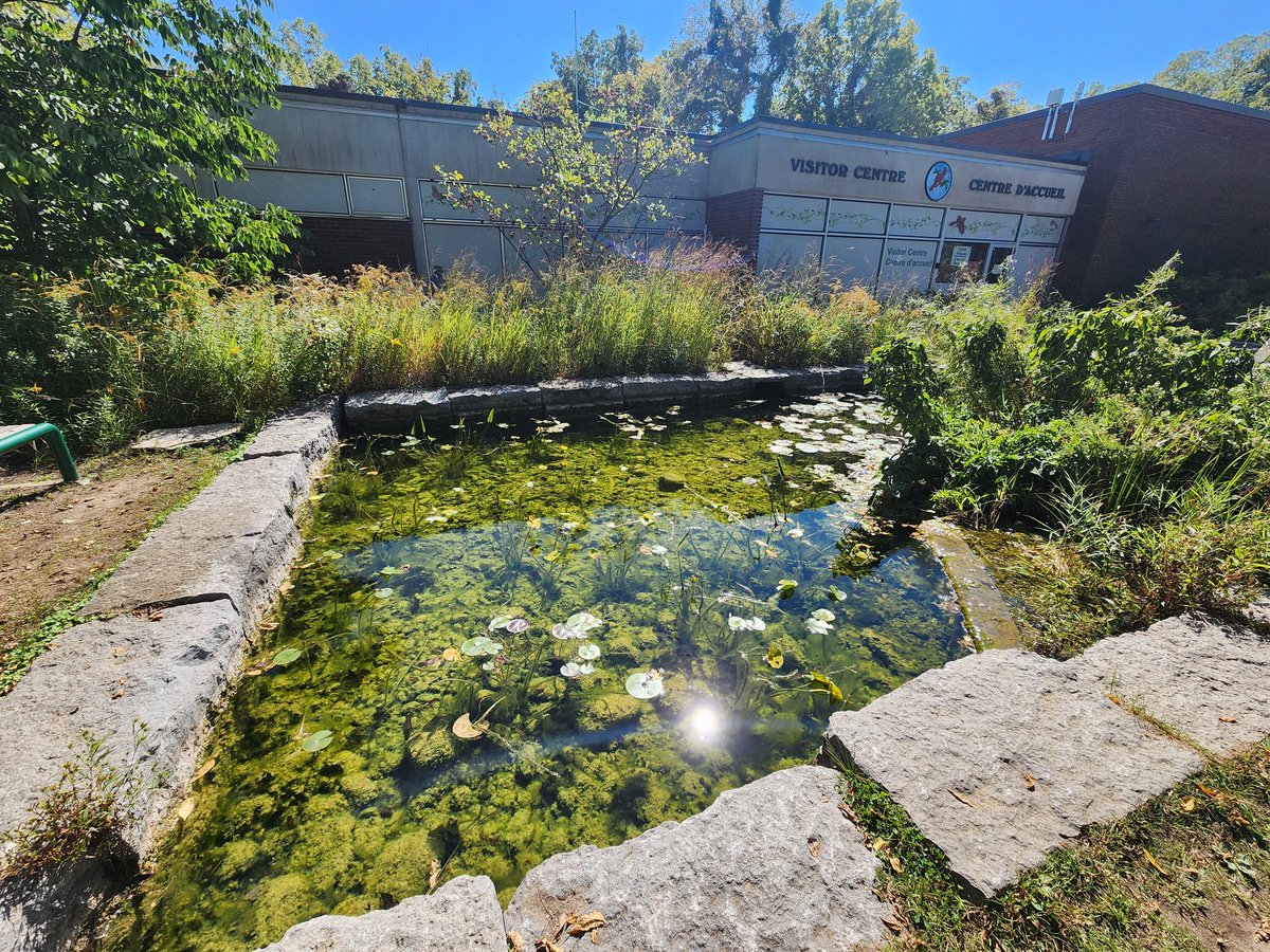 Jessica 🏳️‍⚧️🏳️‍🌈🇨🇦 (she/her) tweet media