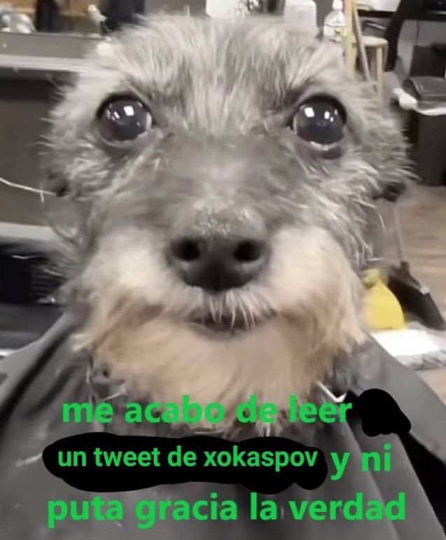 Zz0Cesar's tweet photo. @xokaspov https://t.co/w2huZviAbP