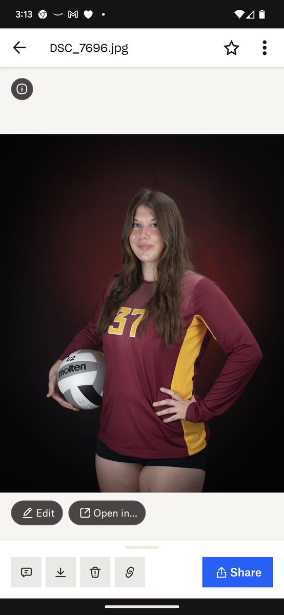 Southeast Volleyball tweet media