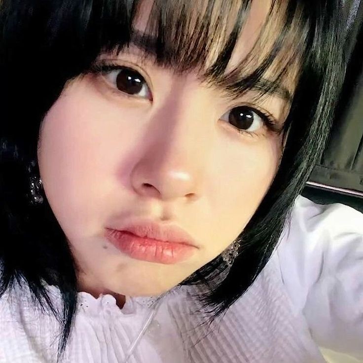 ChaeyotheCat's tweet photo. 🤨⁉️ https://t.co/CkYC3myeYT