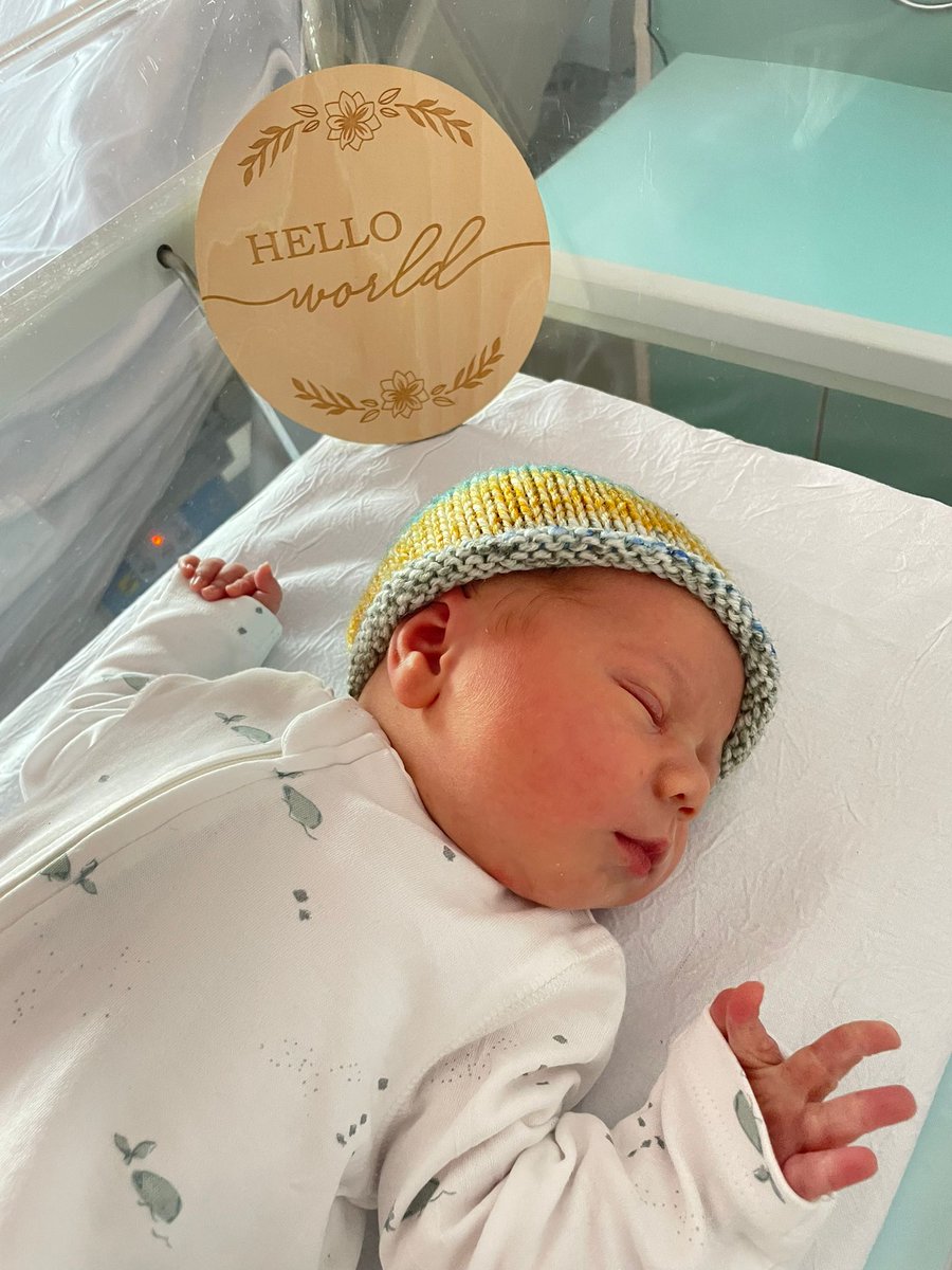 Gregory Hartley tweet media