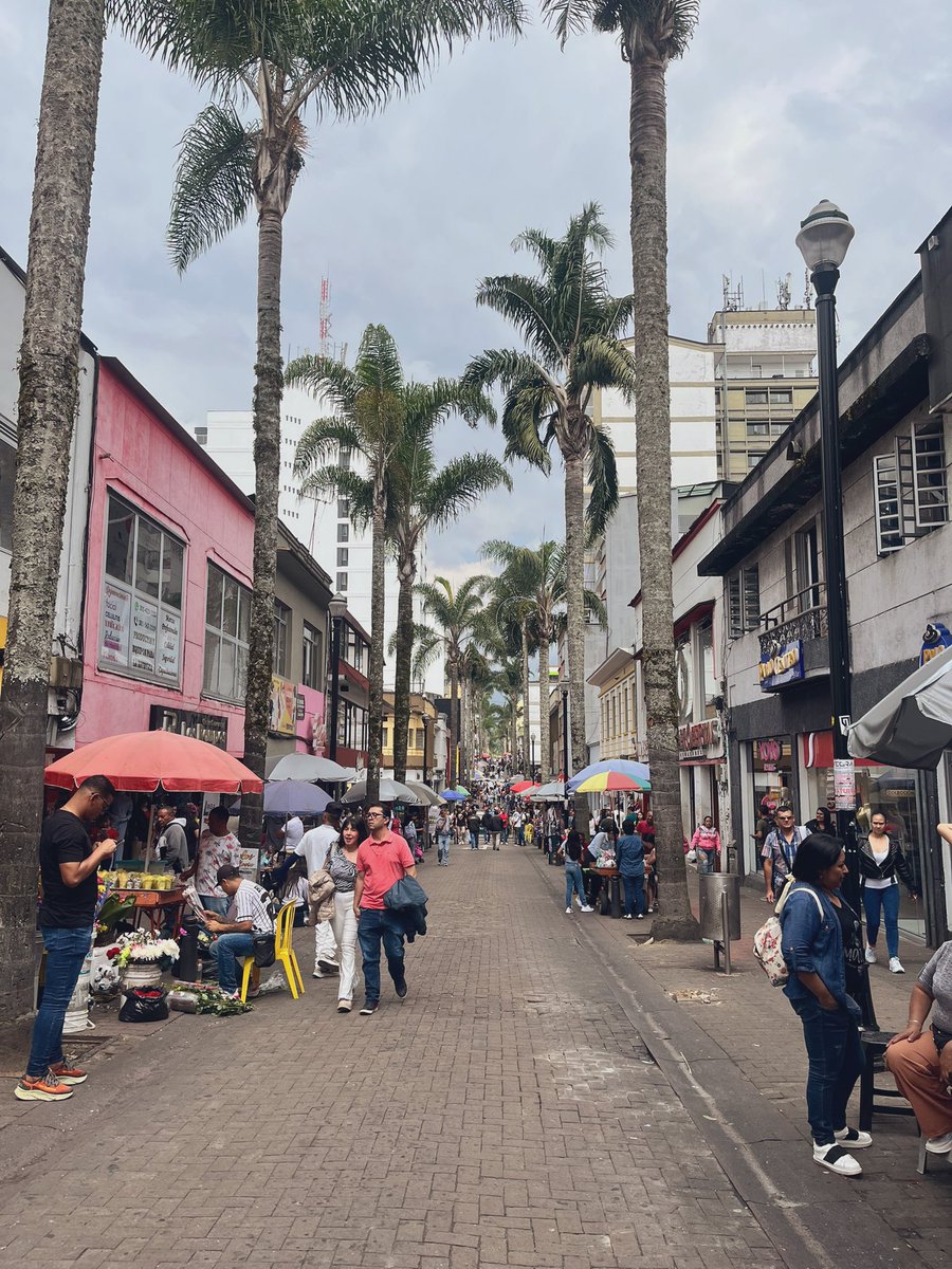 Like si usted considera que la Carrera 23 en el centro de Manizales debería ser Peatonalizada de una vez por todas.