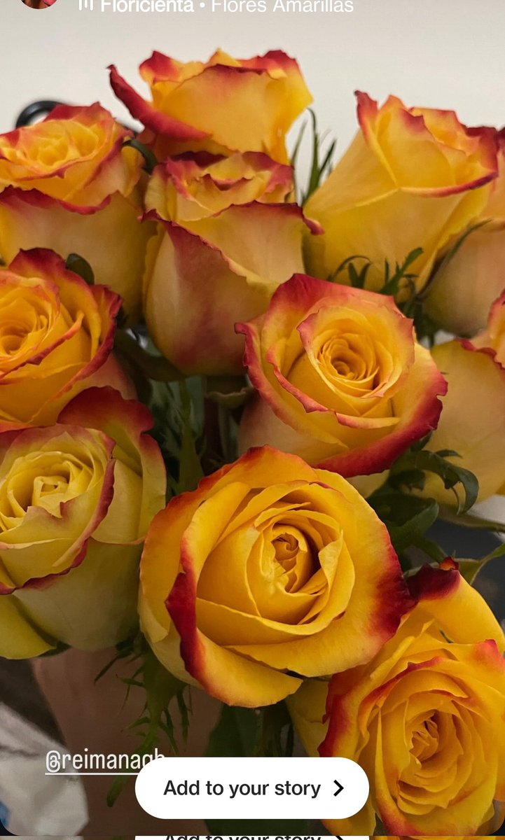 Reimanagb tweet media