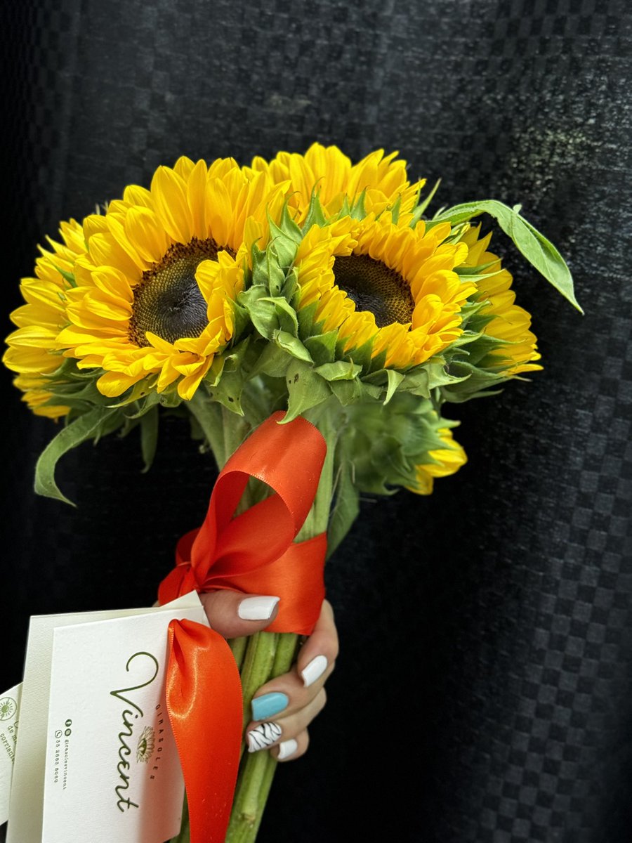 andreamnd's tweet photo. Héctor es mi amor bonito. 

Cuando estaba más chica las flores me parecían un detalle poco atractivo. 
Pero era por que no me había tocado una persona que me conquistara cada mes con este detalle, que sabe que no todas las flores me gustan, pero los girasoles sí. 
Gracias mi H♥️ https://t.co/7aWY99YZdJ