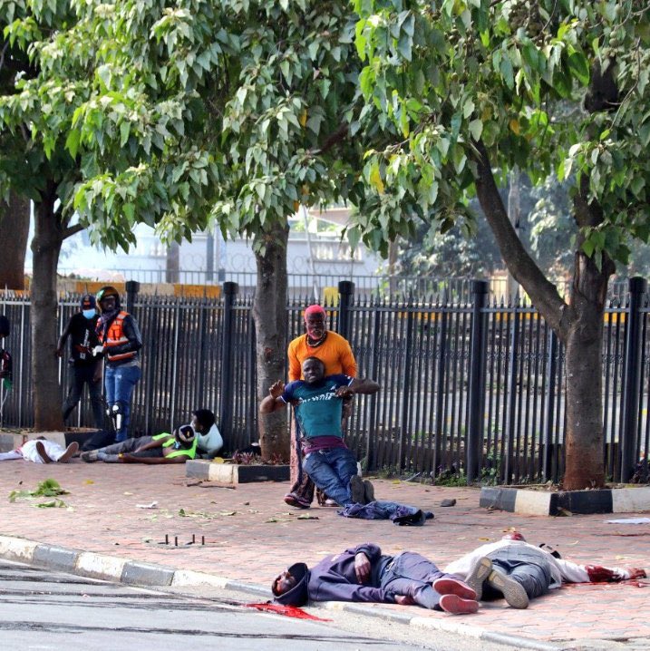 He killed us, didn't he?
What more can he do to us, kill our Mothers? Daughters? 
Innocent genuine mama mbogas died in the  Githurai massacre leave that fraud 🤥 called William parading like the Kenyan President, he's not, Kenyans deserve a statesman as a president.
He came for