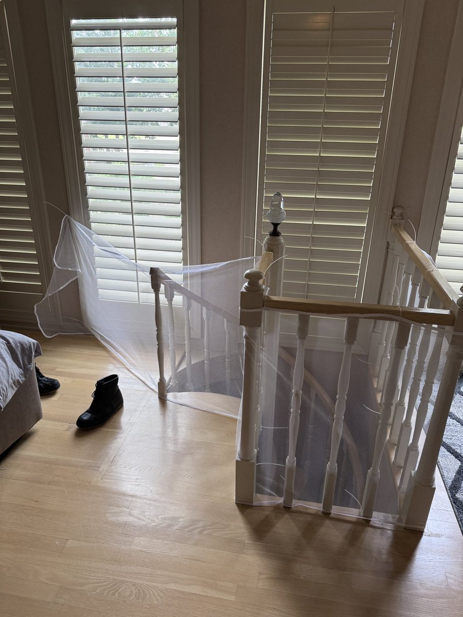 James Q Quick tweet media