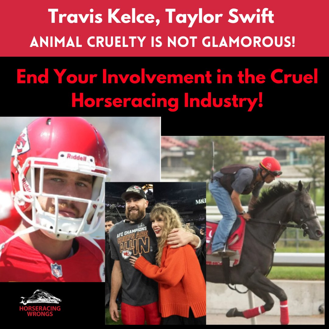🏈<a href="/TravisKelce/">Travis Kelce Fan Account.</a>, athletes choose to play, but horses are bred &amp; used without their consent. #AnimalCruelty  It’s time to stand up for animals who have no voice. Walk away from #Horseracing #TravisKelce #TaylorSwift #Chiefs #ChiefsKingdom #SundayNightFootball
#ChiefsvsRavens