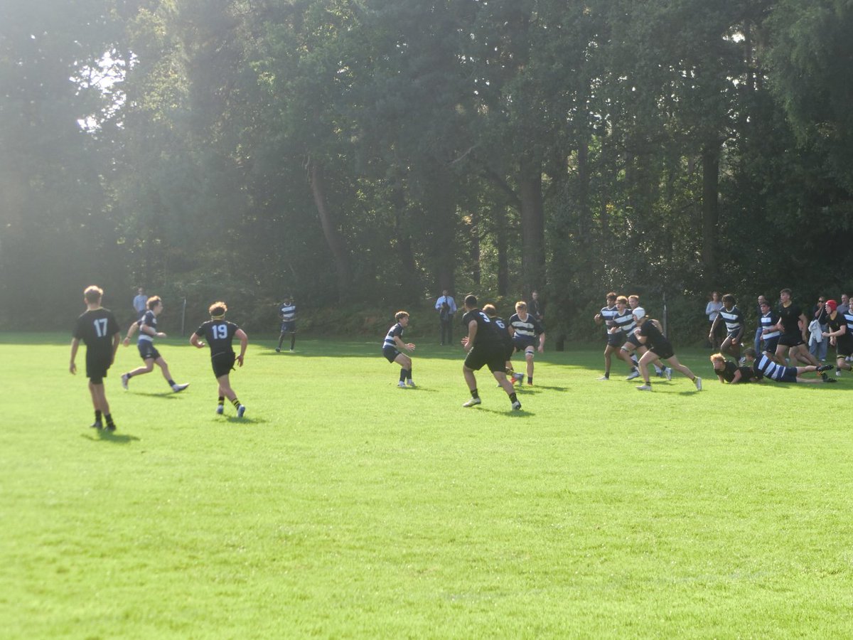 Wellington Sport tweet media