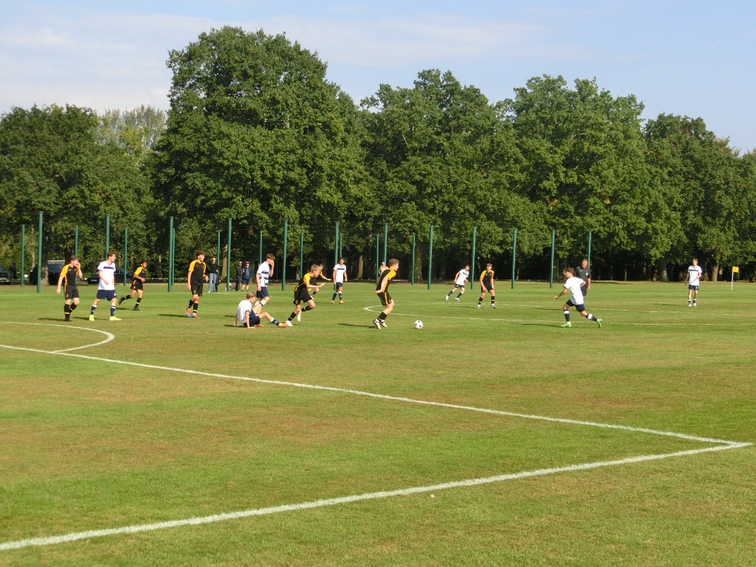 Wellington Sport tweet media