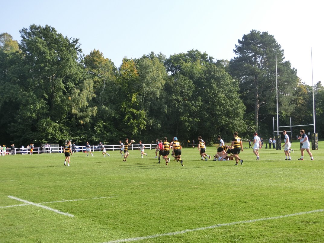 Wellington Sport tweet media