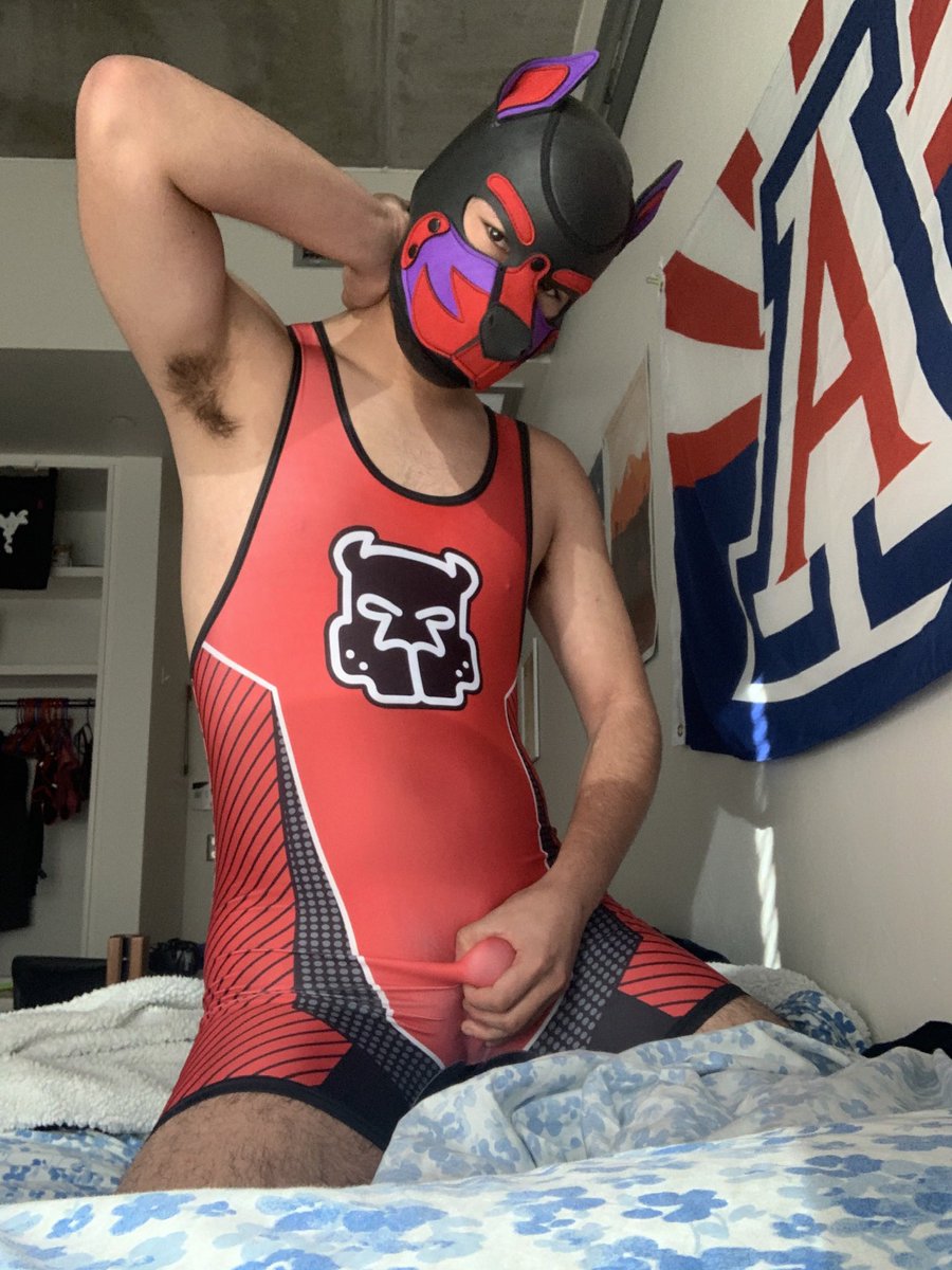 southaz_pupper's tweet photo. @CoclaymoreAD @Puppy_Wuffles I’m ready https://t.co/0gcaHQ2nSf