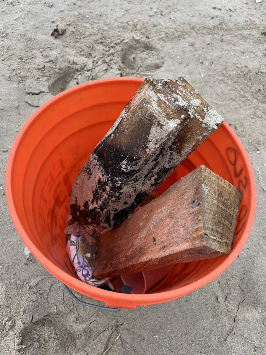 CaltransD5's tweet photo. A successful #CleanCA event this morning at Pismo Beach Pier in San Luis Obispo County with @CaltransD5 staff and #ECOSLO as part of #CoastalCleanupDay
Many gathered to pick up litter and debris near our waterways.
@CaltransHQ #CleanWaterCA https://t.co/qiyekoyYuP