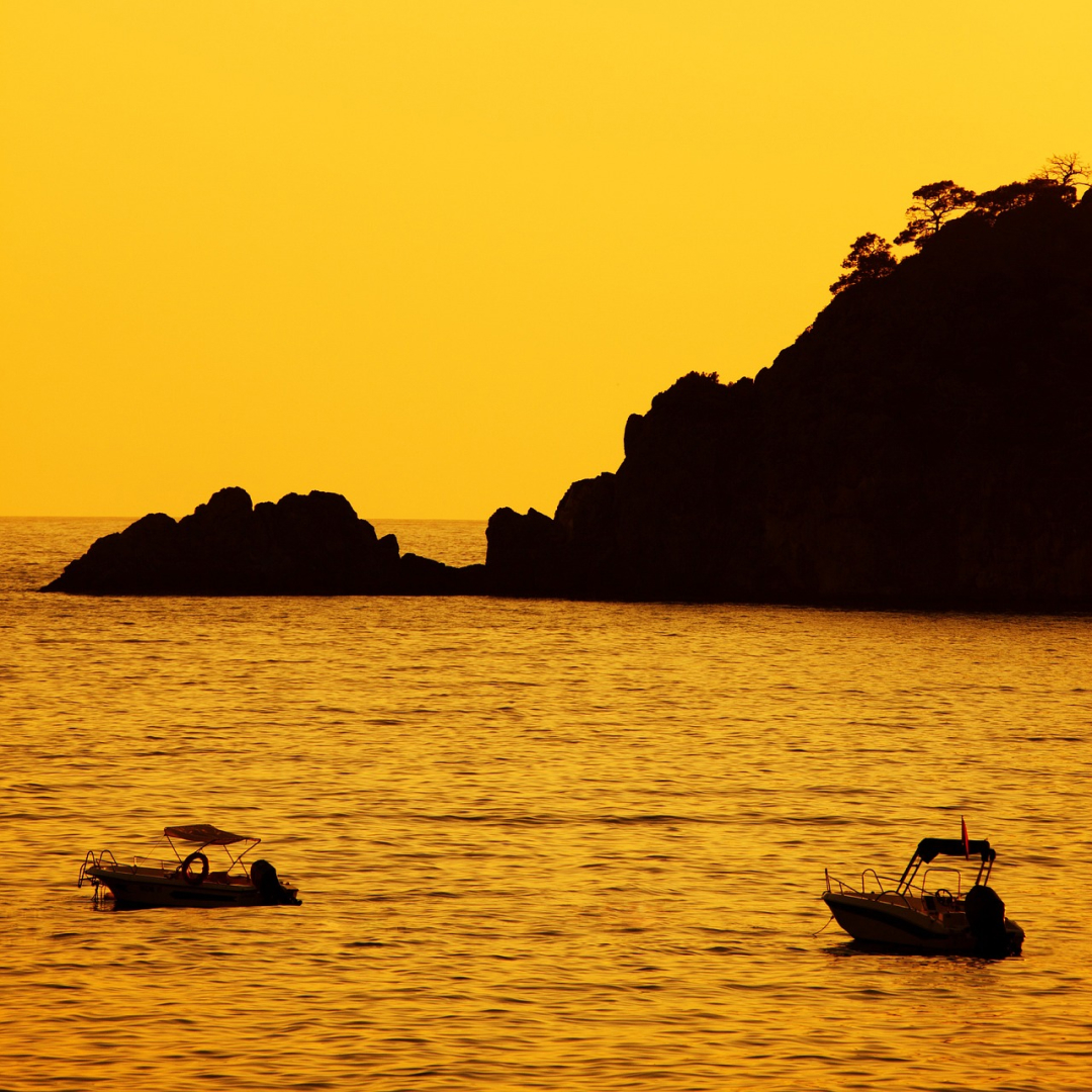 REL Acoustics tweet media