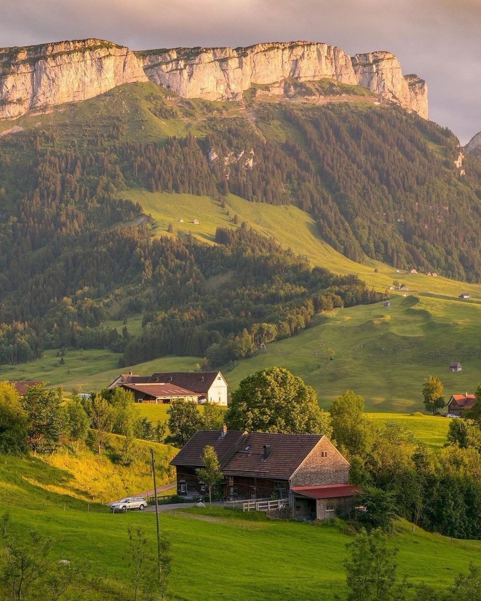 Swiss Nature (@natureswiss) on Twitter photo 