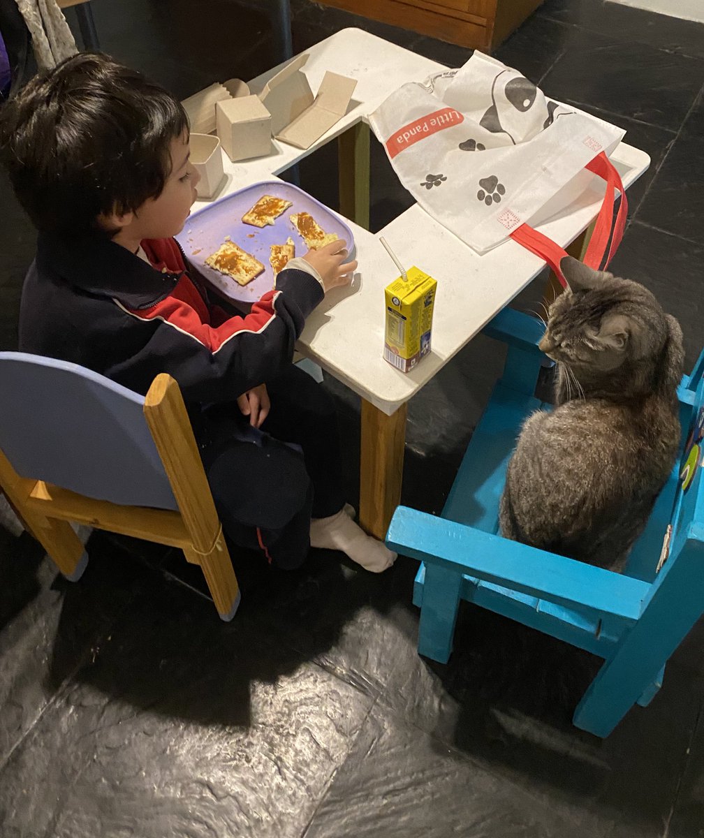 asuldepiscis's tweet photo. mi hijo merendando con su mejor amiga.. https://t.co/ERUsqHCkf3