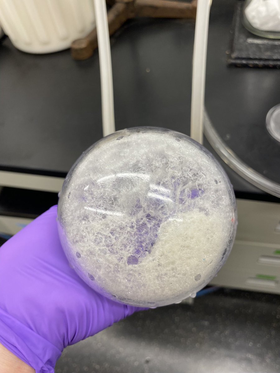 MannDelany's tweet photo. every 5 months i make something that looks like this #sugar #cottoncandy https://t.co/MbvRd4Ovxn