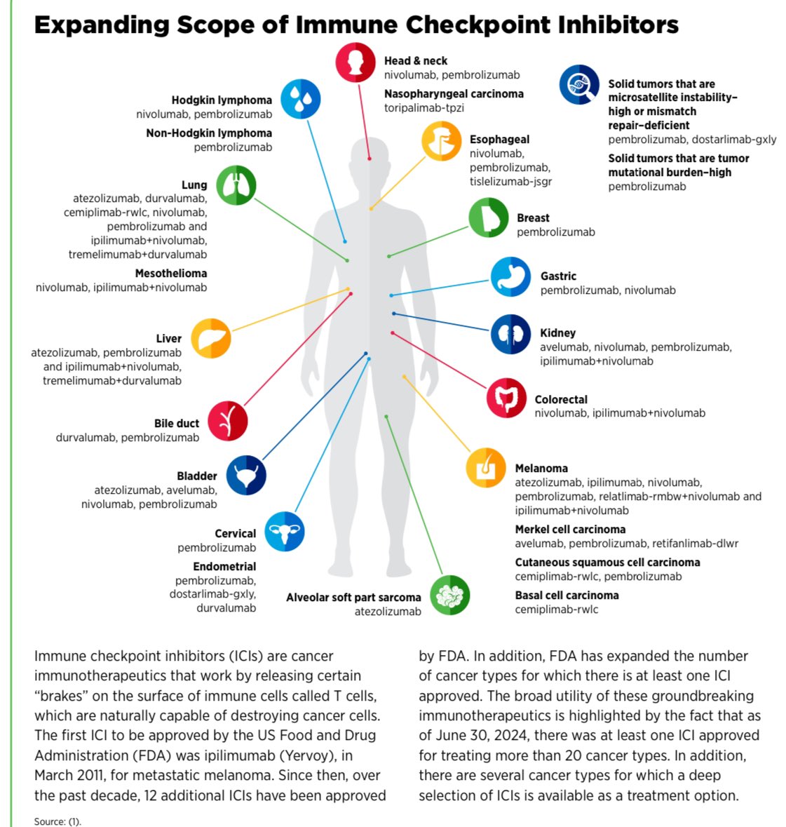 Two summary graphics in the <a href="/AACR/">AACR</a> #CancerProgressReport 2024:
A: The notable rise in early onset #ColorectalCancer incidence &amp; mortality over the past 5y
B: The expanding scope of #immunotherapy across solid cancers, still missing #PancreaticCancer. 
cancerprogressreport.aacr.org/wp-content/upl…