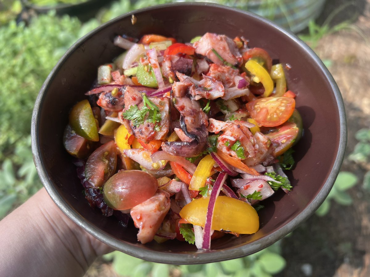 sardine_diary's tweet photo. Trader Joe’s Calamari Pieces in Olive Oil 

Really good, leagues above the vigo or goya squid pieces but not quite as tender as the Matiz or Portomar or something. Not too fishy at all, mild sweetness and a little bit chewy. Used the whole tin with the oil in a calamari salad https://t.co/L1D2RtLGcN
