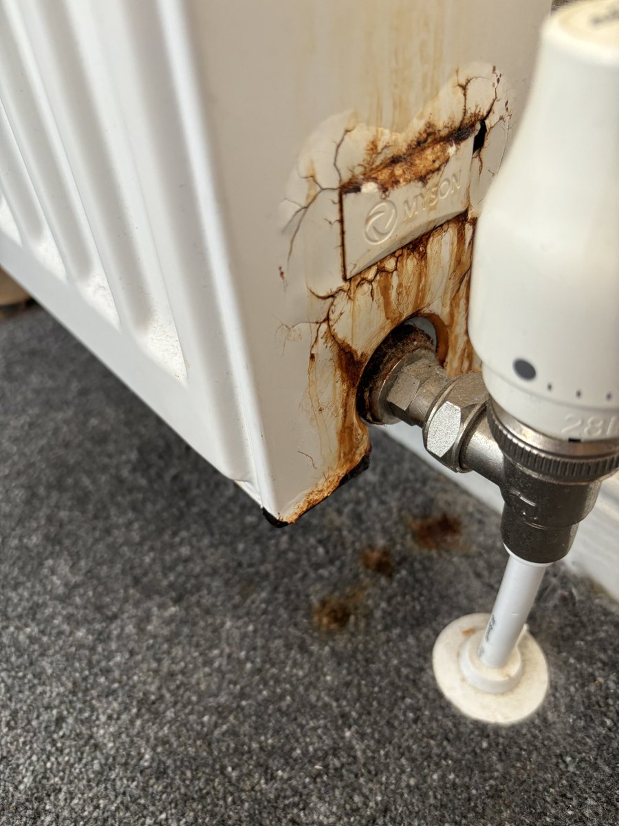 MrsP_to_be's tweet photo. @AwayResortsUK “luxury lodge” Whitecliff Bay, Isle of Wight.
Black mould, rust, dirt, wouldn’t even have this as basic accommodation let alone £800 for 5 nights.
Disgusting.
Shocking accommodation, even more shocking guest services and no help whatsoever. Glad to be home!! https://t.co/C9iHQDDb51