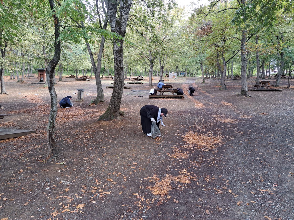Amasya Orman Bölge Müdürlüğü tweet media