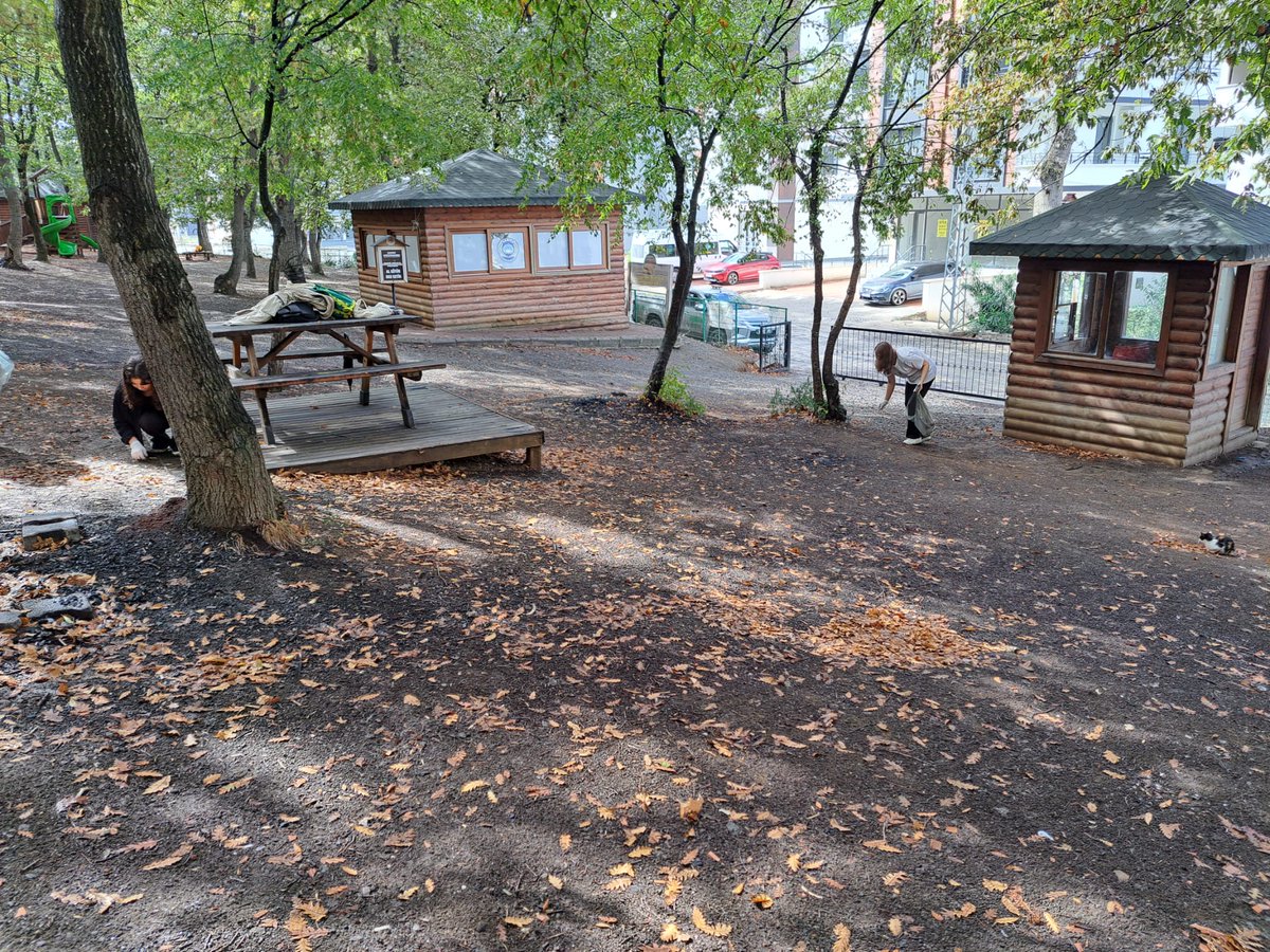 Amasya Orman Bölge Müdürlüğü tweet media