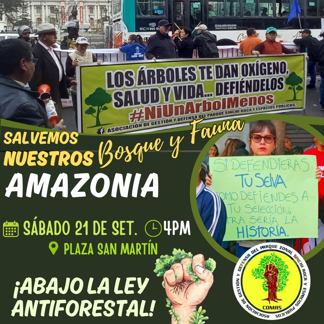 NO A LA LEY ANTIFORESTAL!