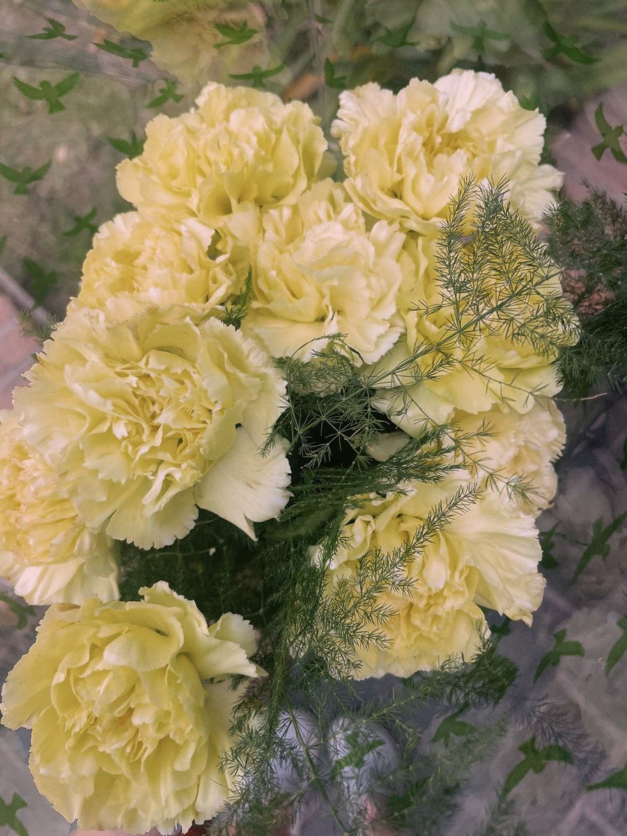 vickycardetti2's tweet photo. mi novio me regaló flores amarillas  y a mí se me explota el corazón de amooooor😭💘💘💘 https://t.co/06vpKXYAJv
