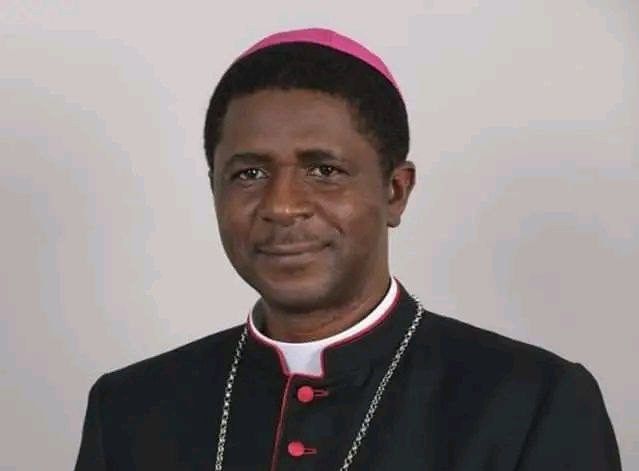 MMI News tweet media