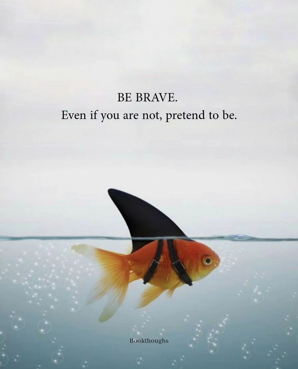 Mind Essentials (@mind_essentials) on Twitter photo 