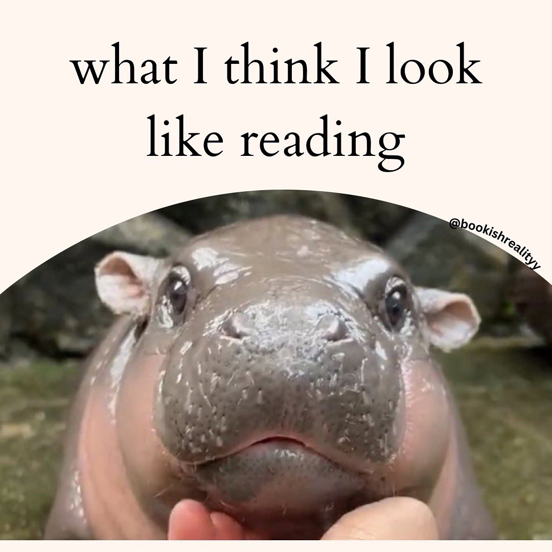 Anyways here’s some Moo Deng bookish memes as a treat #booktwt #moodeng
