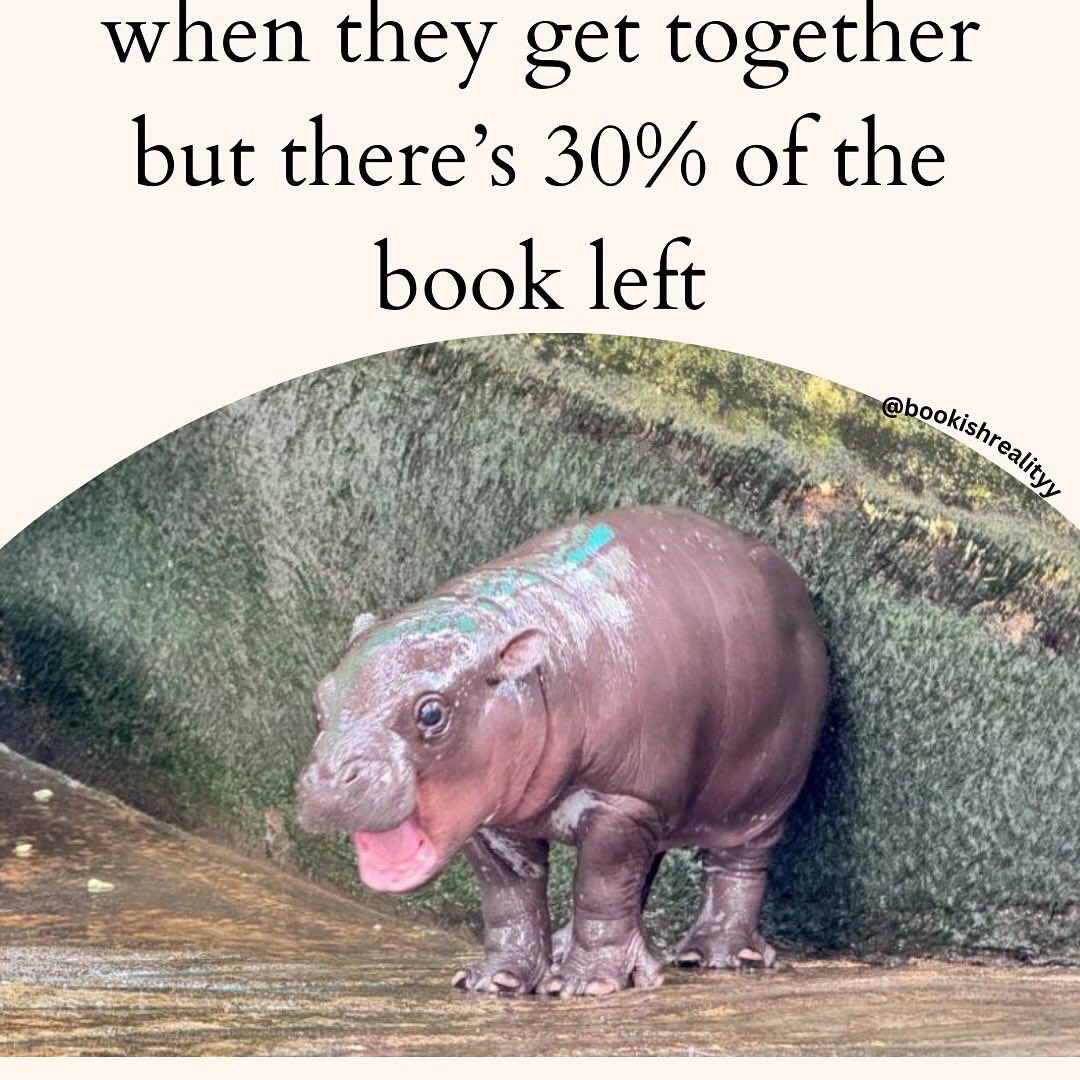 Bookish Reality 📖 tweet media