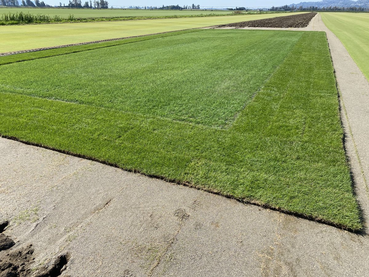 Bert Bos tweet media