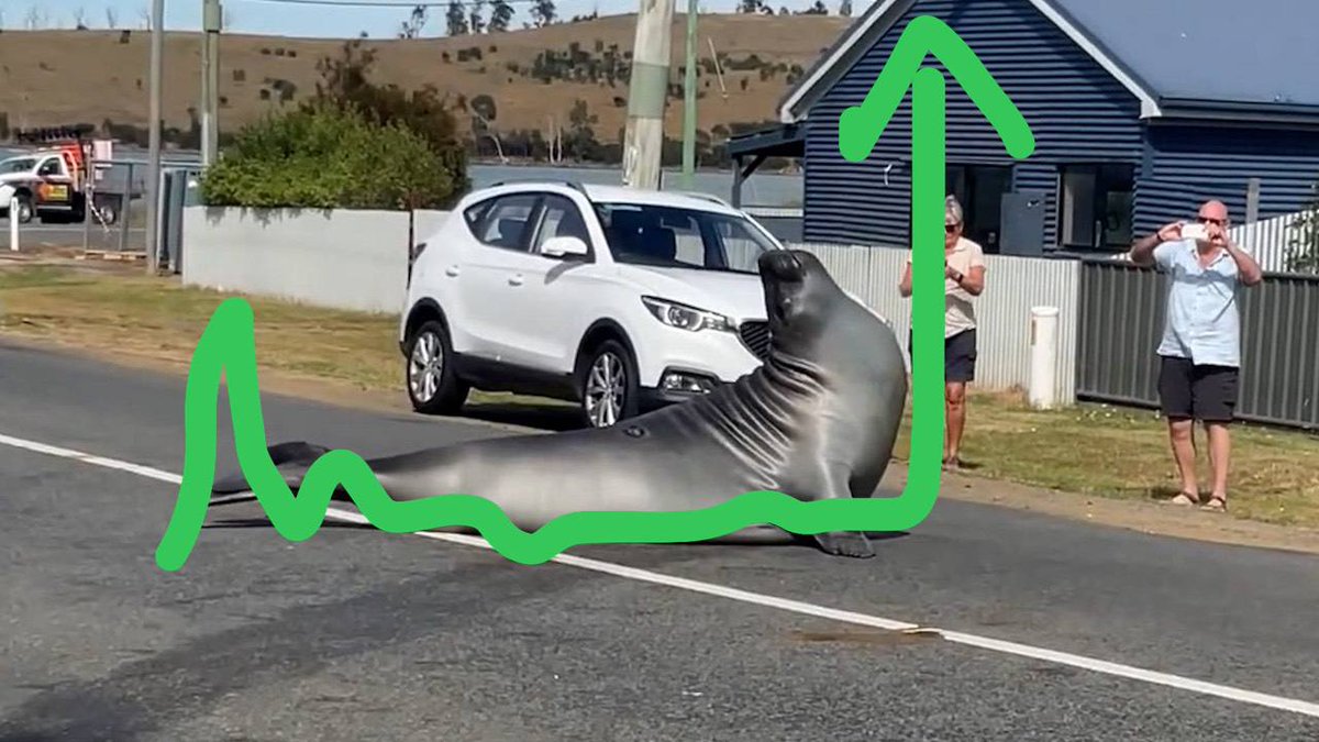 BplaguedM's tweet photo. @GazziBnks @metaversejoji $Popcat whales bidding $neil 
next leg is upon us
37AJ6VGLvN4tCMW4sgpH4ADxpFMtdSfQbgvwBboRpump  

https://t.co/X2Vg7OQEDD https://t.co/MApMSVGCnt