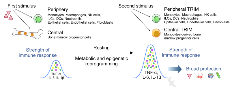 Waggoner Lab tweet media