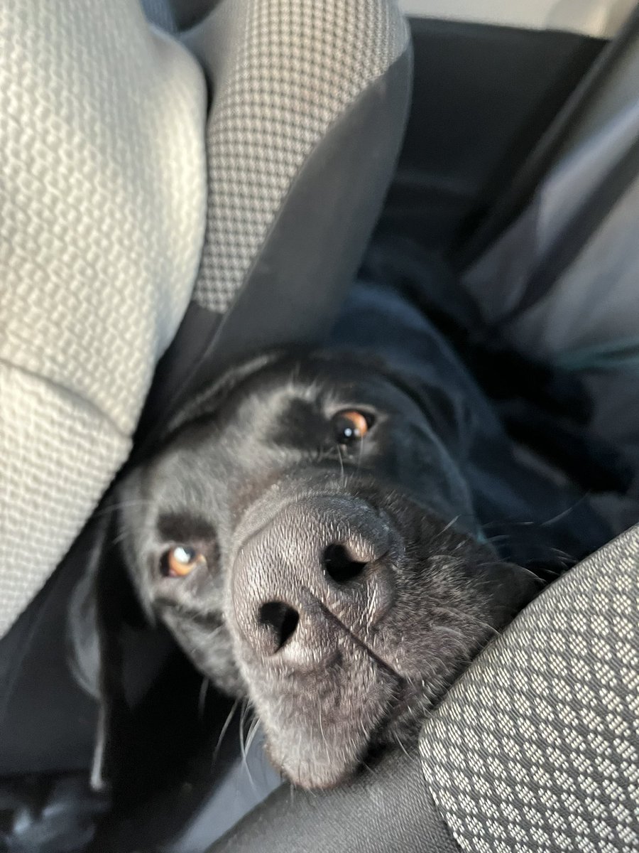 On the road.