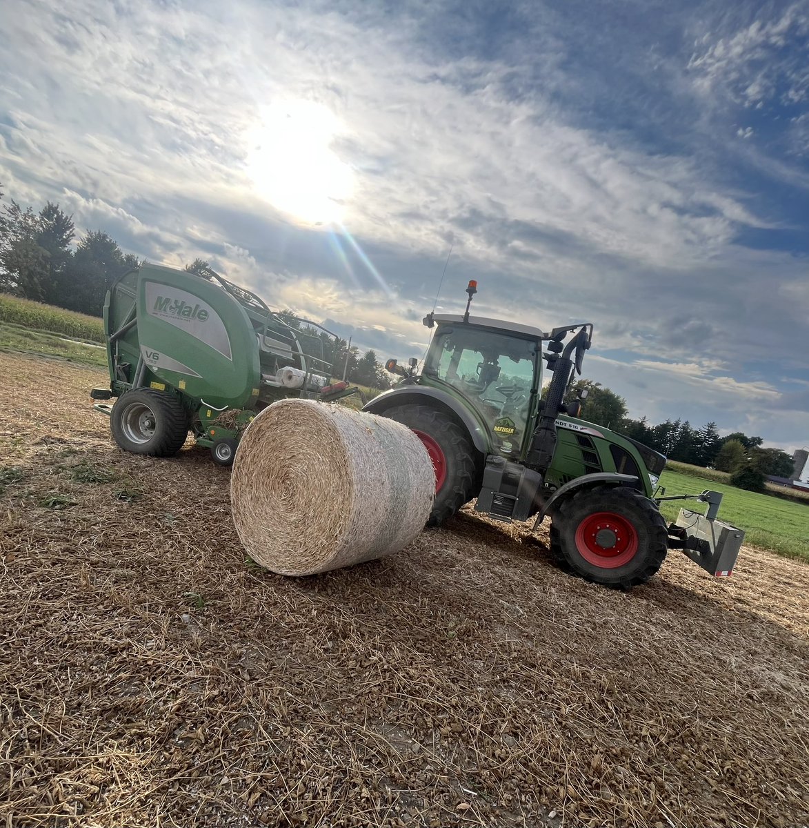 Custom baling . Full set of knives if needed. Hay , straw , bean straw , corn stalks . Located in Perth east willing to travel
