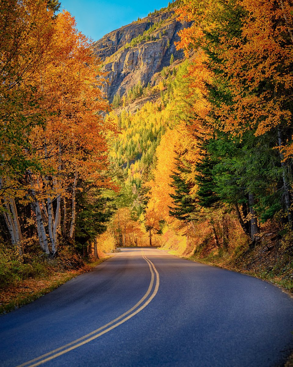 MontanaImages tweet media