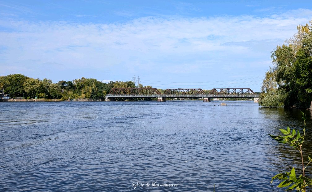 SylviedeMaison1's tweet image. Bien contente de ma randonnée de vélo qui m&apos;a conduite près de mon coin de jeunesse. La rivière est toujours aussi belle 💙💙
Je suis fière de mes 20 km parcourus. Pour certains, c&apos;est peu mais pour moi c&apos;est beaucoup 🥳
#VieuxBordeaux 
#RemiseEnForme