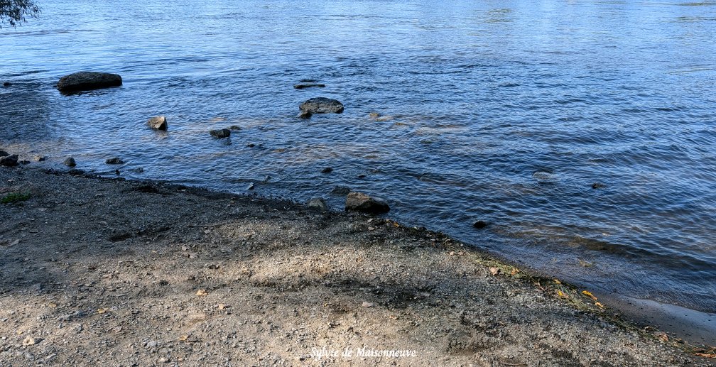 SylviedeMaison1's tweet image. Bien contente de ma randonnée de vélo qui m&apos;a conduite près de mon coin de jeunesse. La rivière est toujours aussi belle 💙💙
Je suis fière de mes 20 km parcourus. Pour certains, c&apos;est peu mais pour moi c&apos;est beaucoup 🥳
#VieuxBordeaux 
#RemiseEnForme