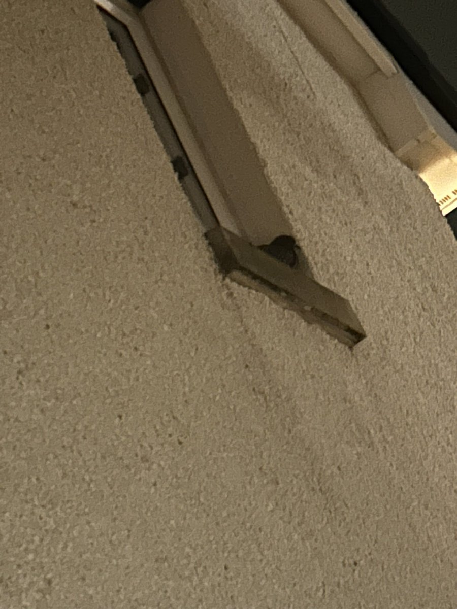 May have been a bit too hospitable to my feathered friends, one seems to have moved in!